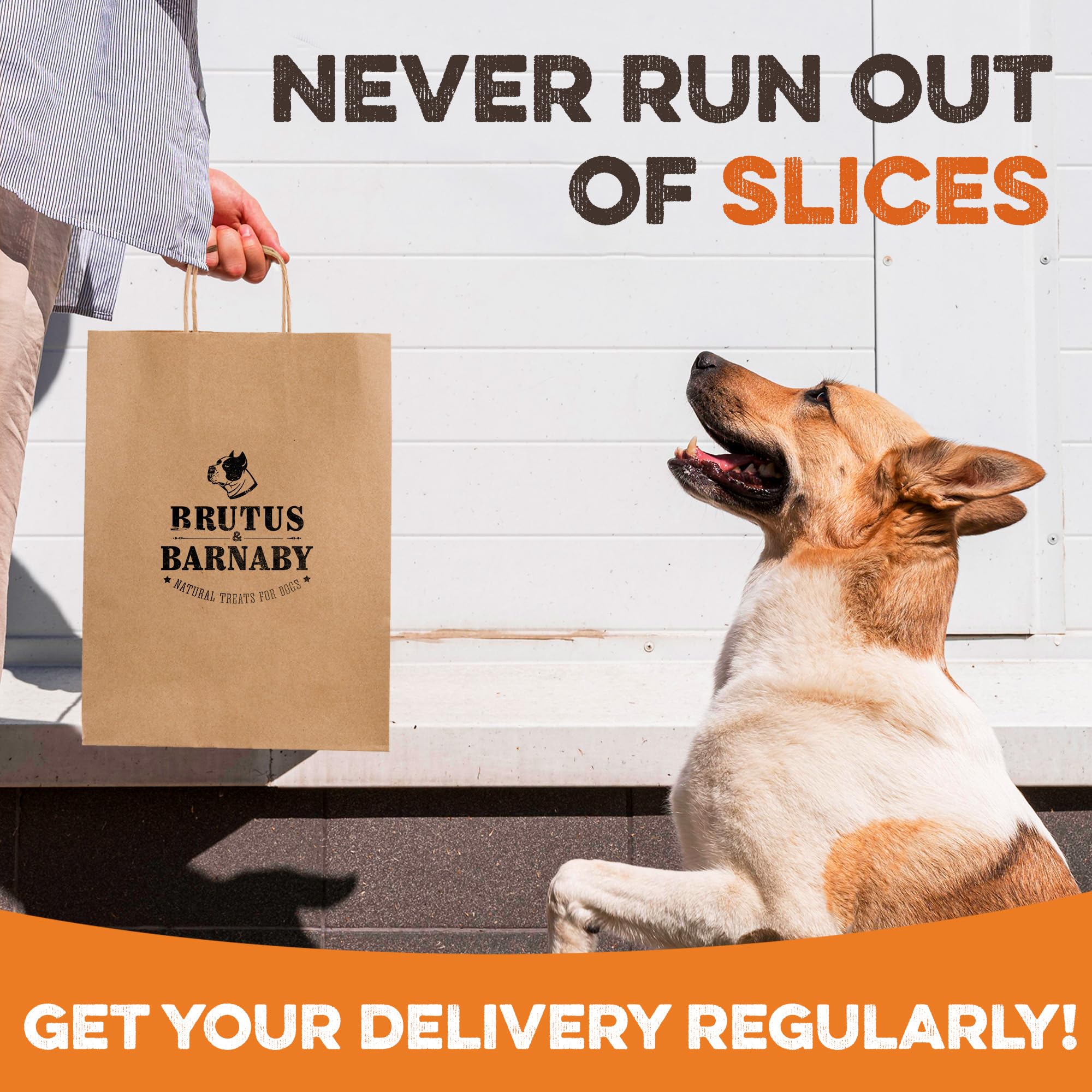 BRUTUS & BARNABY training treats for quick rewards