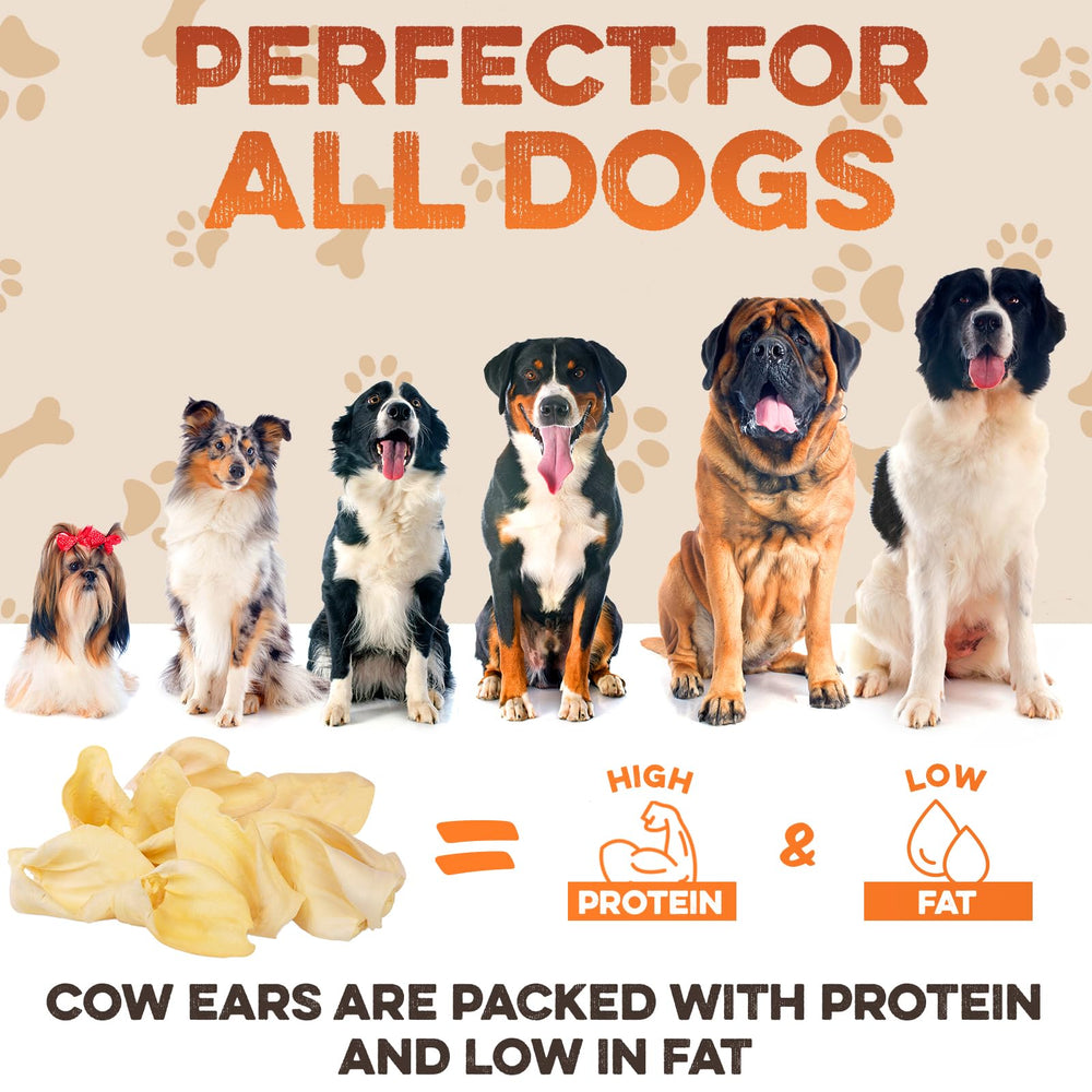 BRUTUS & BARNABY trusted by dog owners for over a decade.