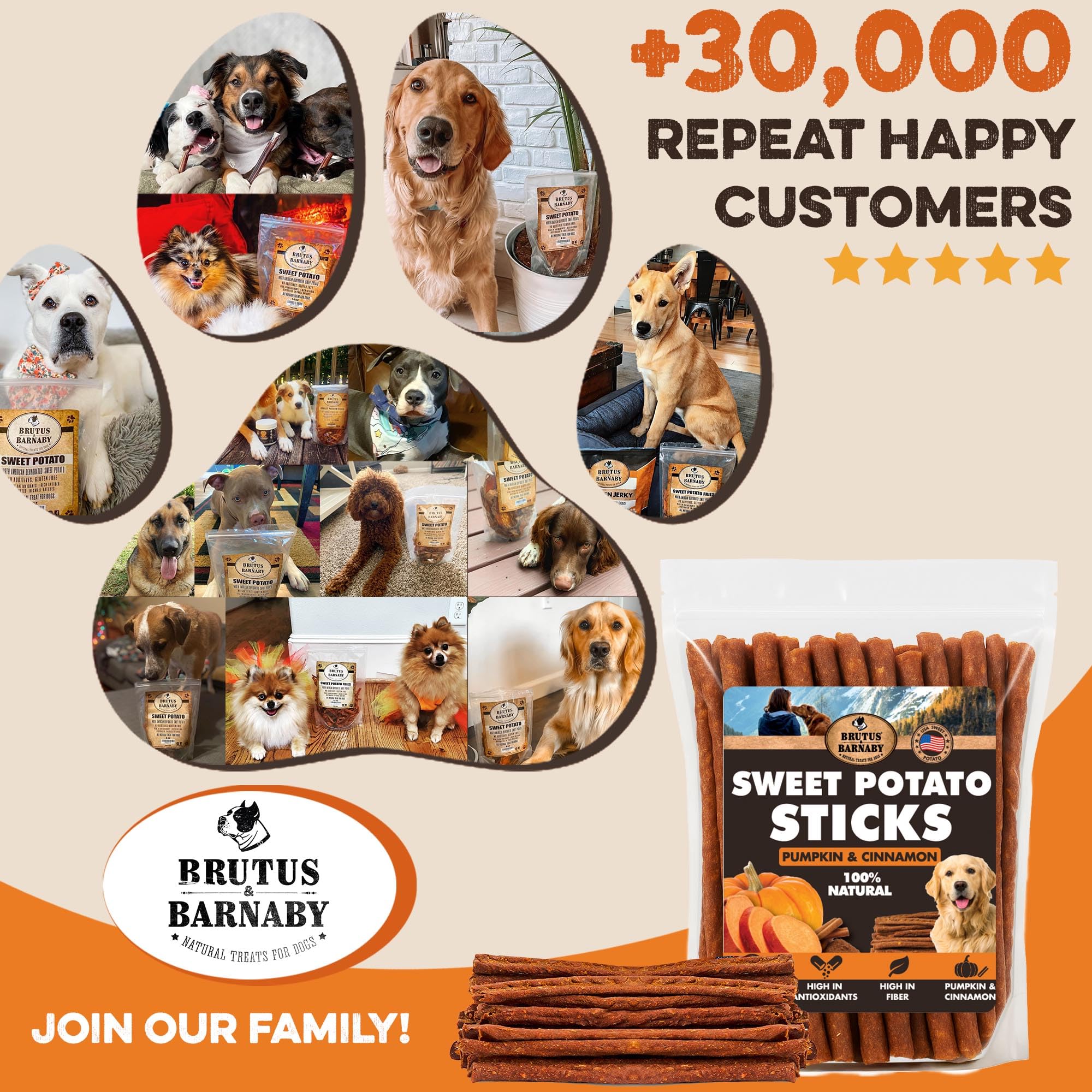 BRUTUS & BARNABY whole-stick chew for longer playtime