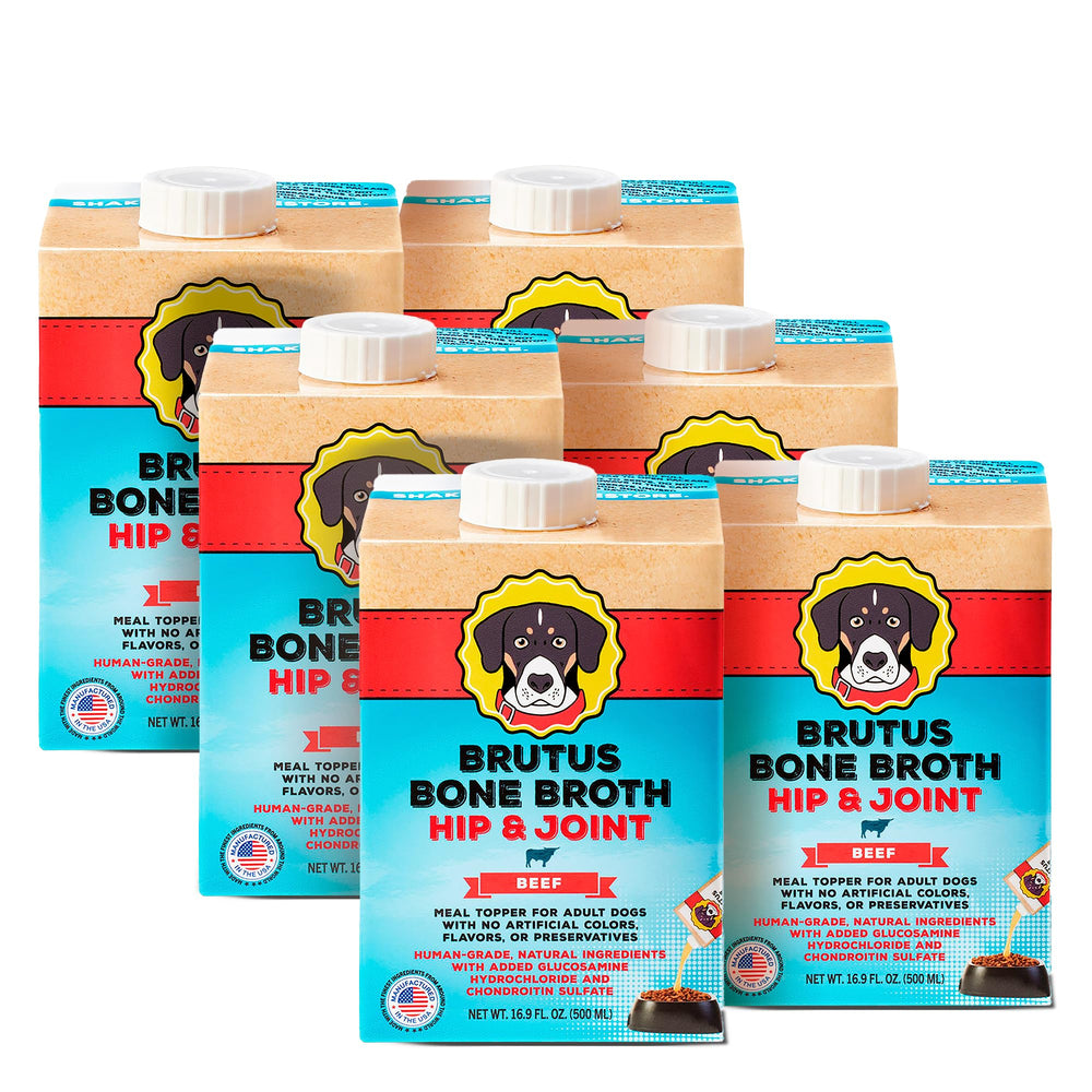 Brutus Beef Bone Broth dog bowl pour highlights savory aroma and easy topping.