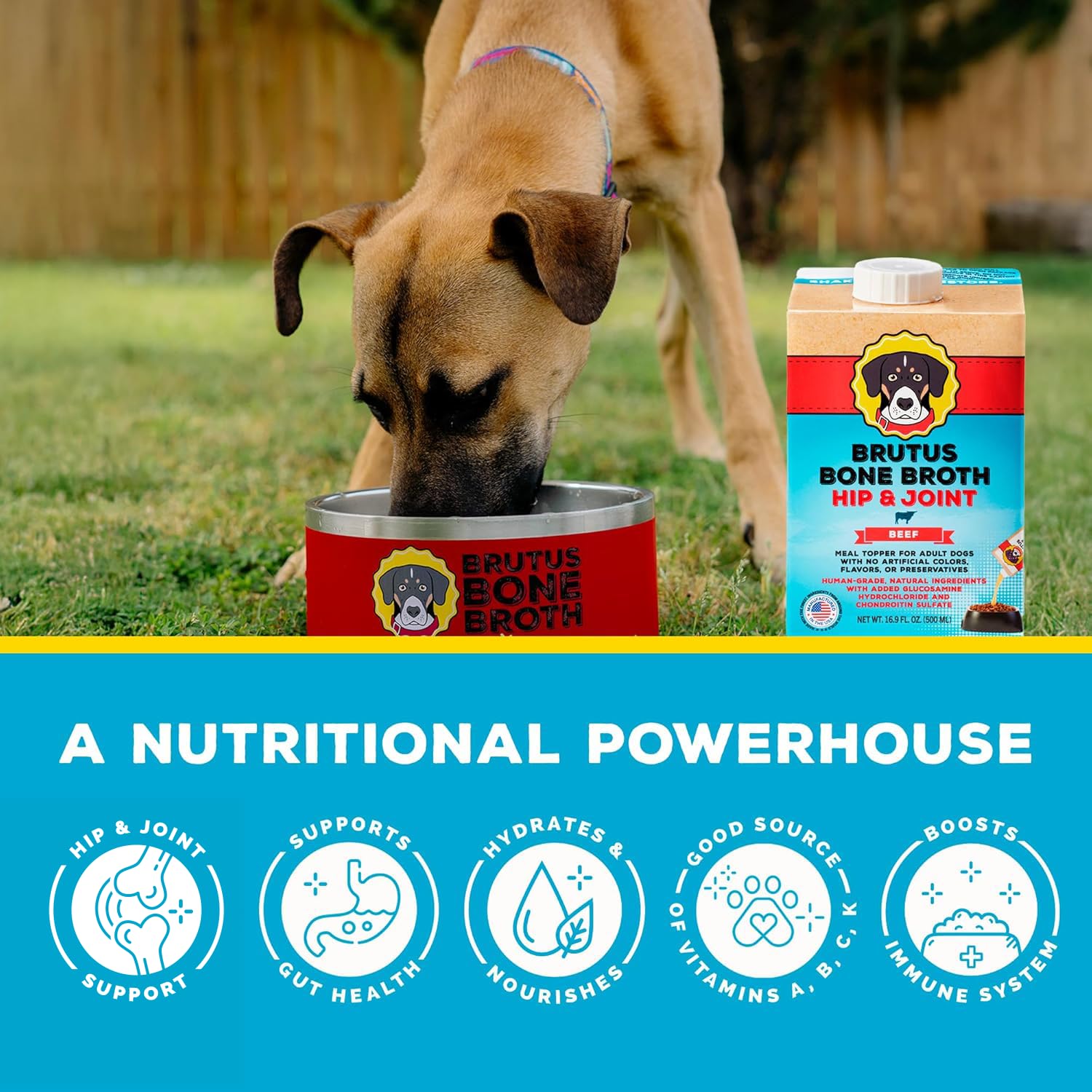 Brutus Bone Broth with glucosamine chondroitin for potential joint support.