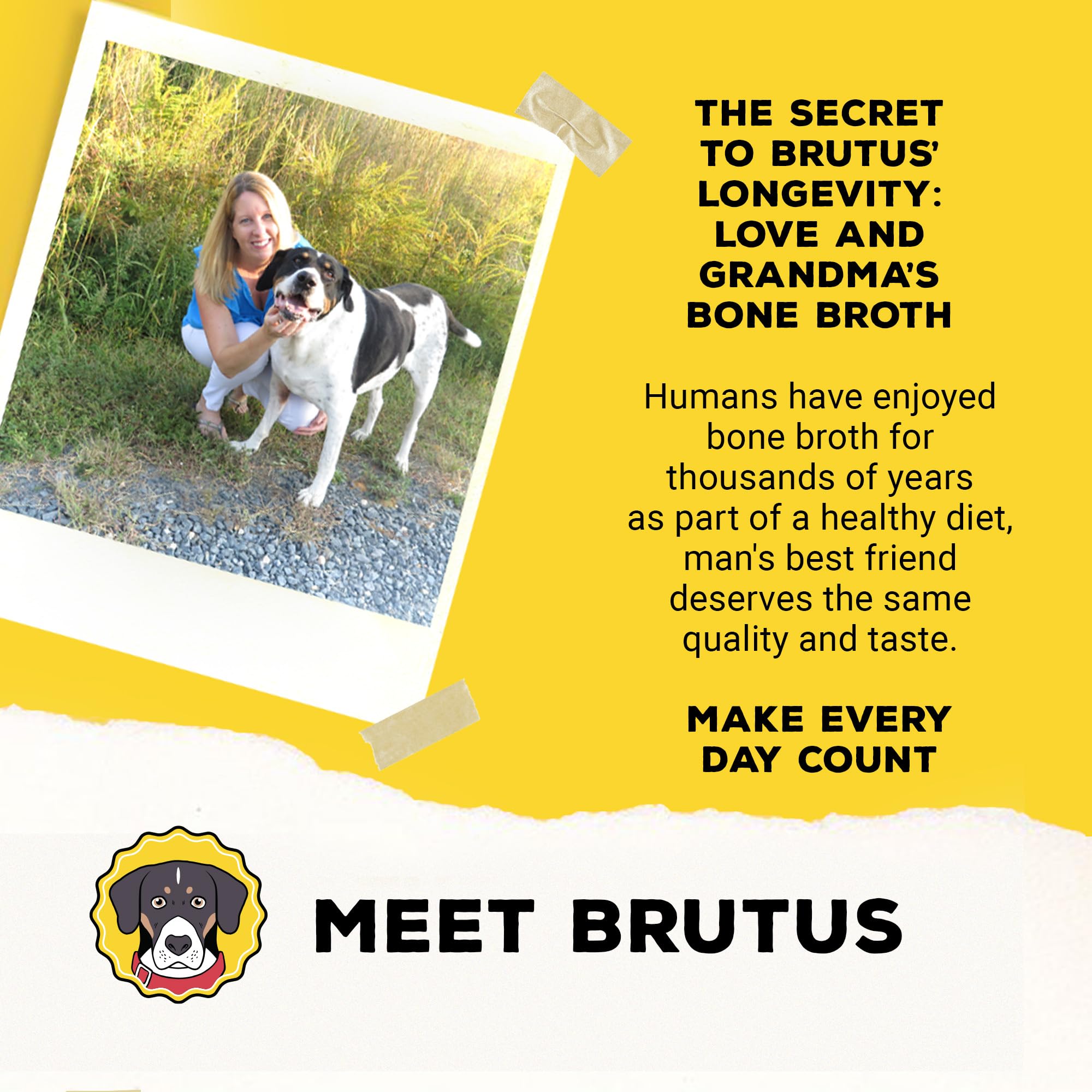 Brutus Bone Broth Biscuits ideal for intermittent feeding or training sessions.