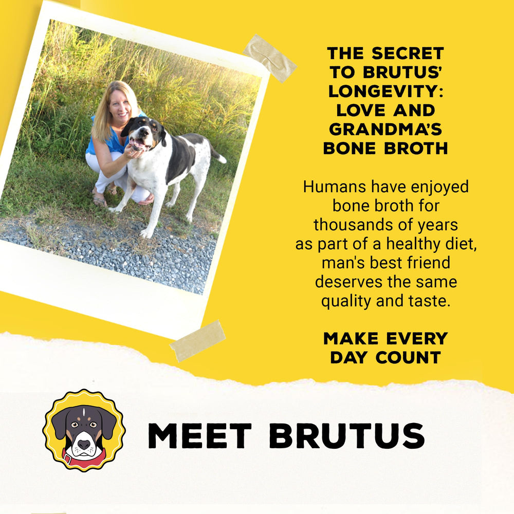 Brutus Bone Broth Biscuits ideal for intermittent feeding or training sessions.