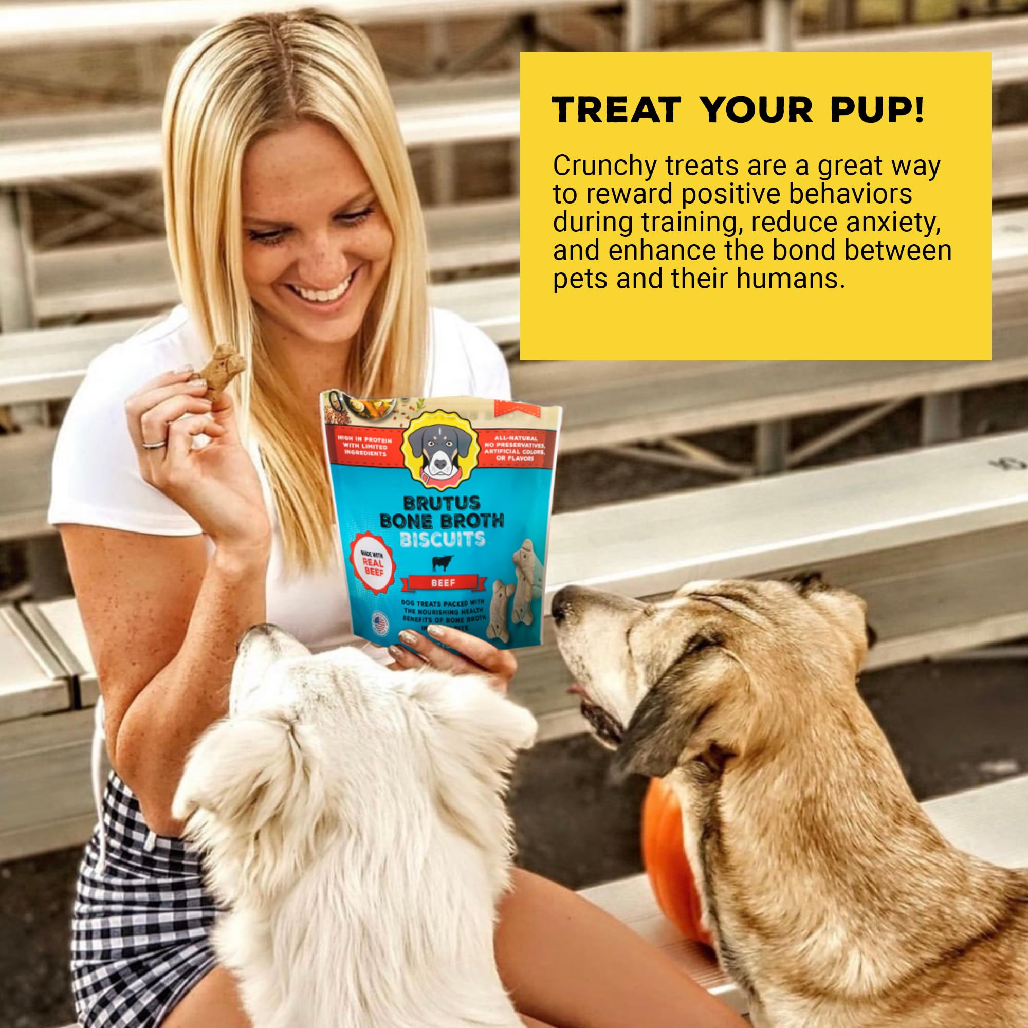 Brutus Bone Broth Biscuits crispy texture for satisfying rewards during play.
