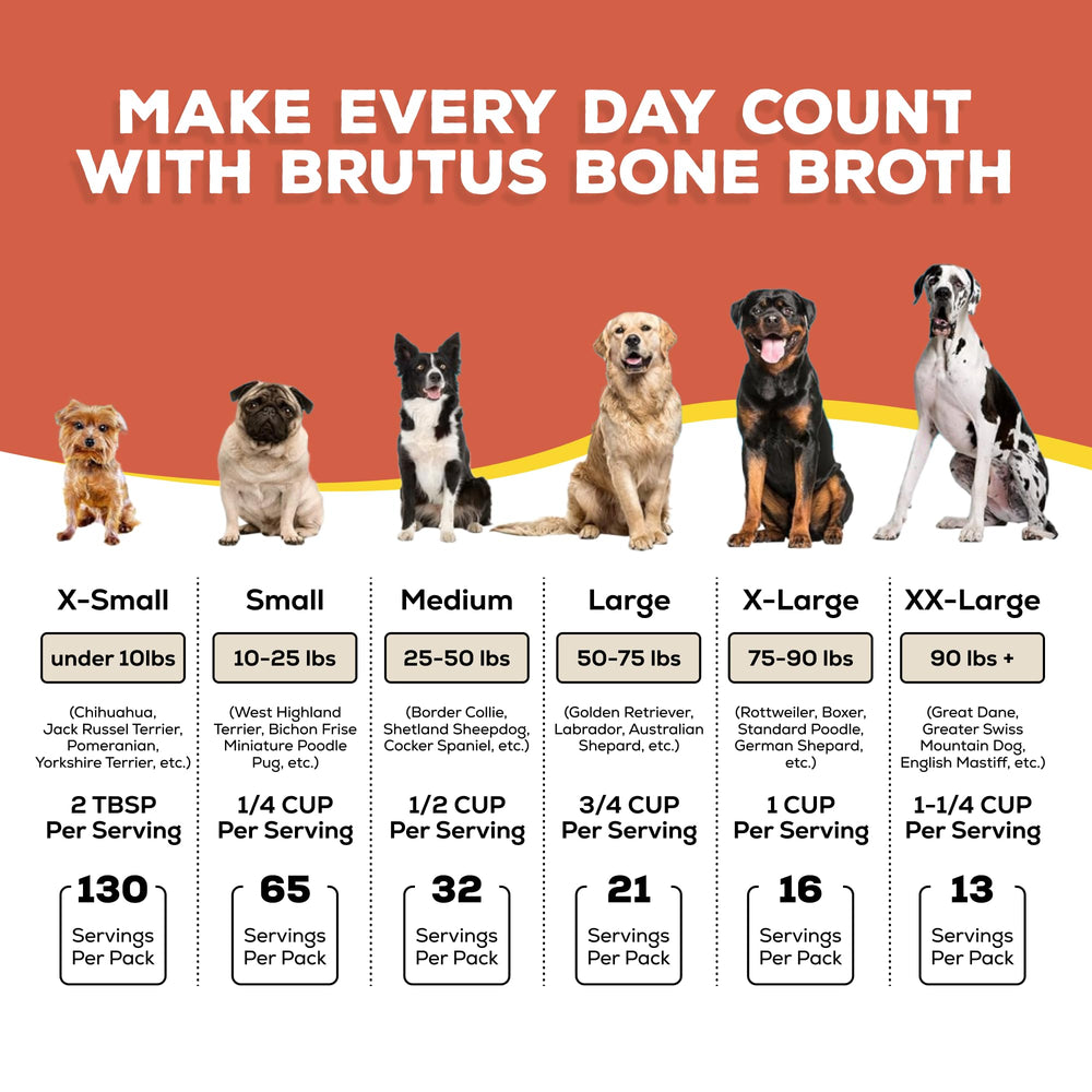 Brutus Bone Broth topper in a dog bowl boosts moisture and palatability for picky eaters.
