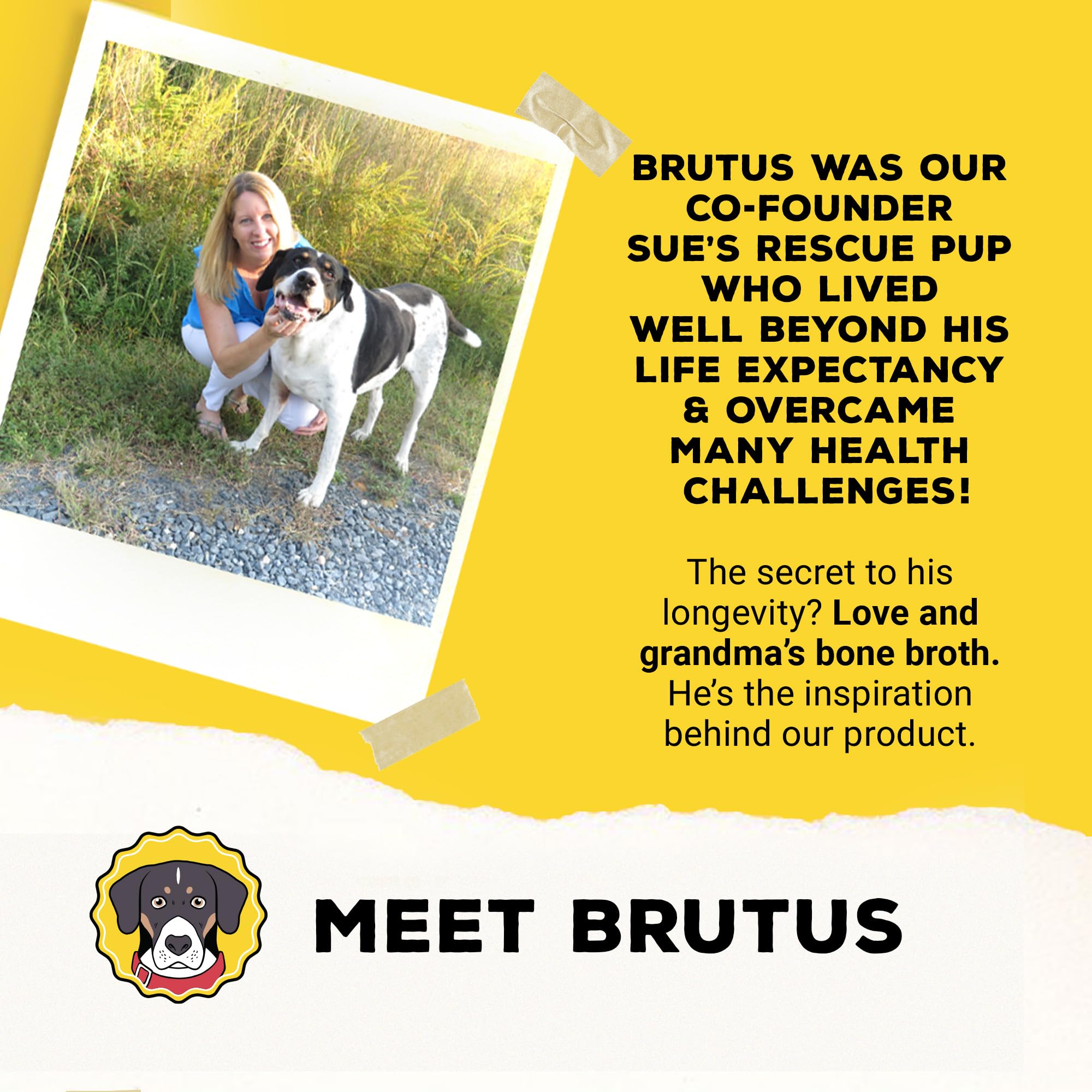 Brutus Bone Broth adds shine to coats and supports vitality.