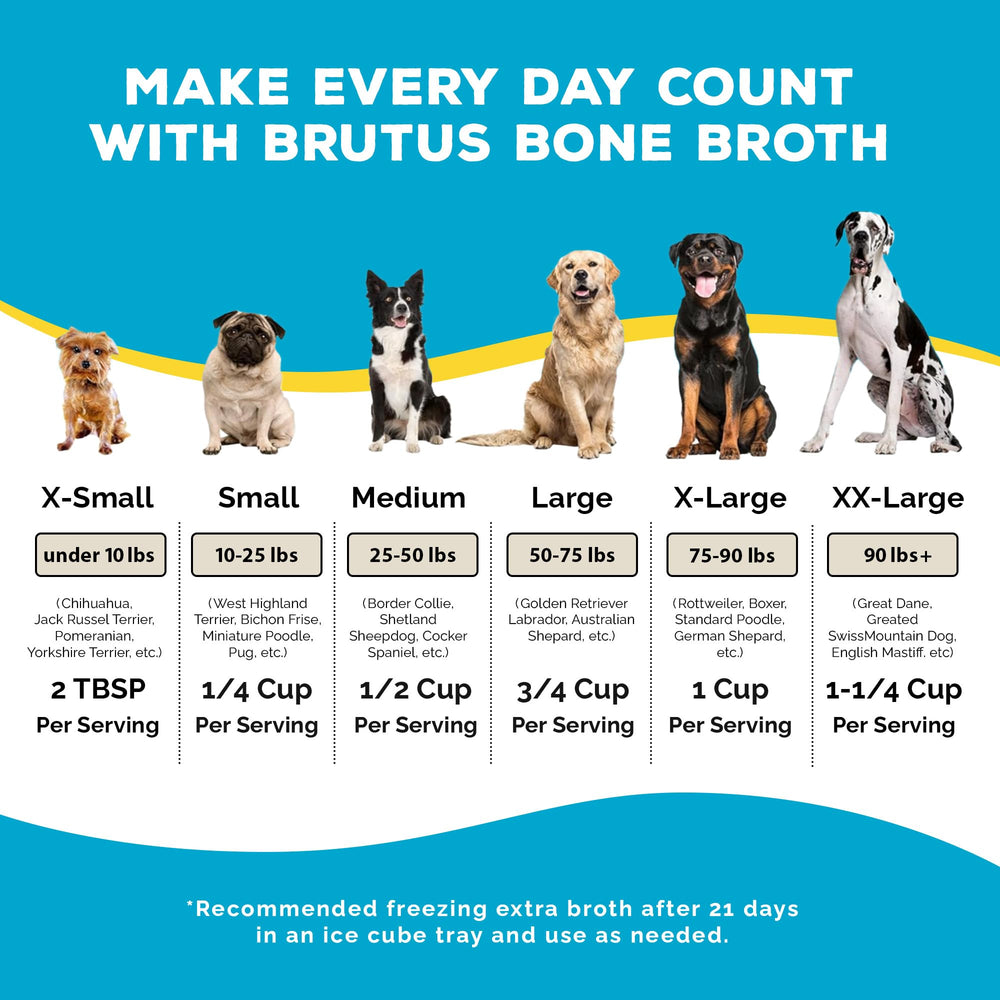 Brutus Bone Broth travel stick pack illustrating on-the-go topper use