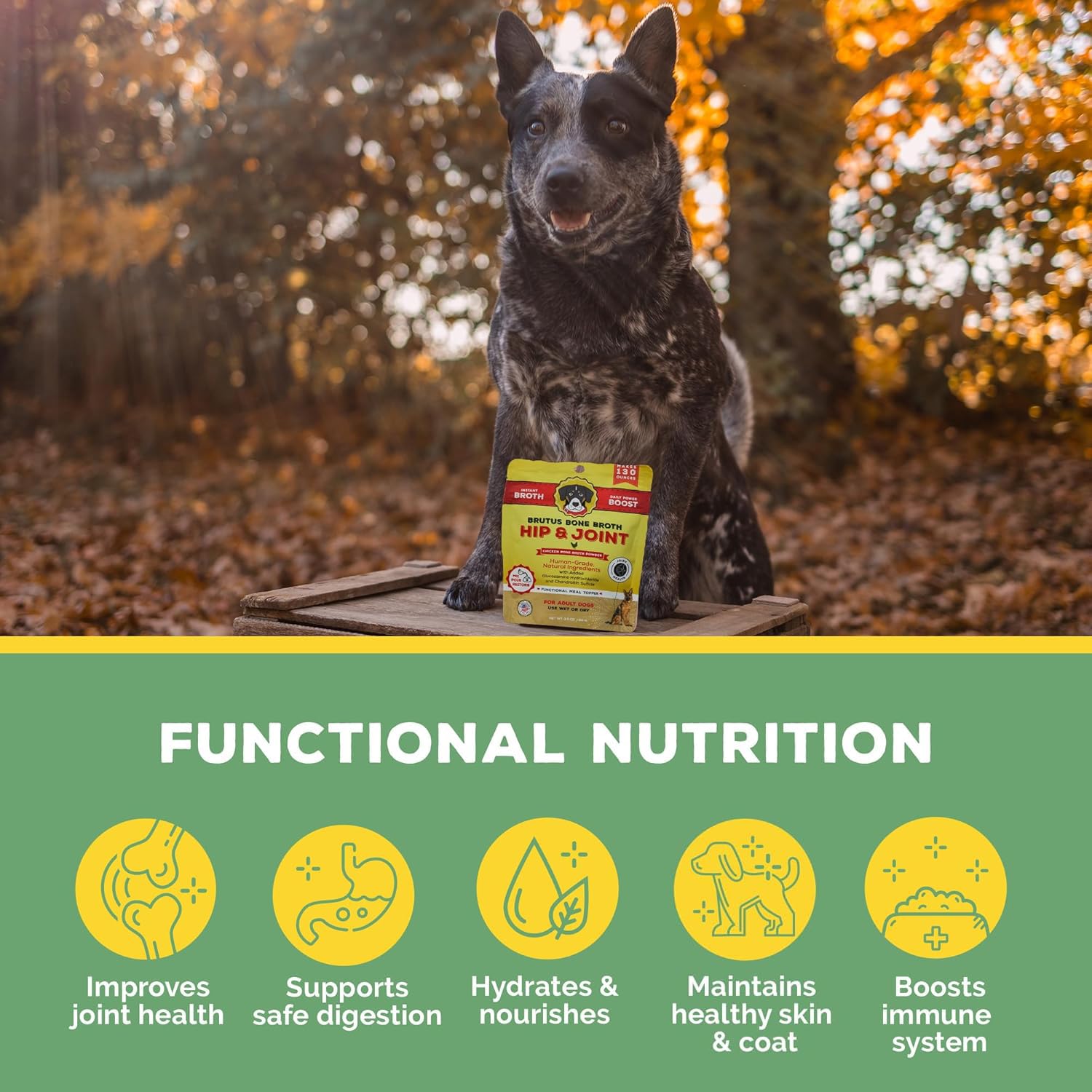 Brutus Topper with glucosamine and turmeric supports joints
