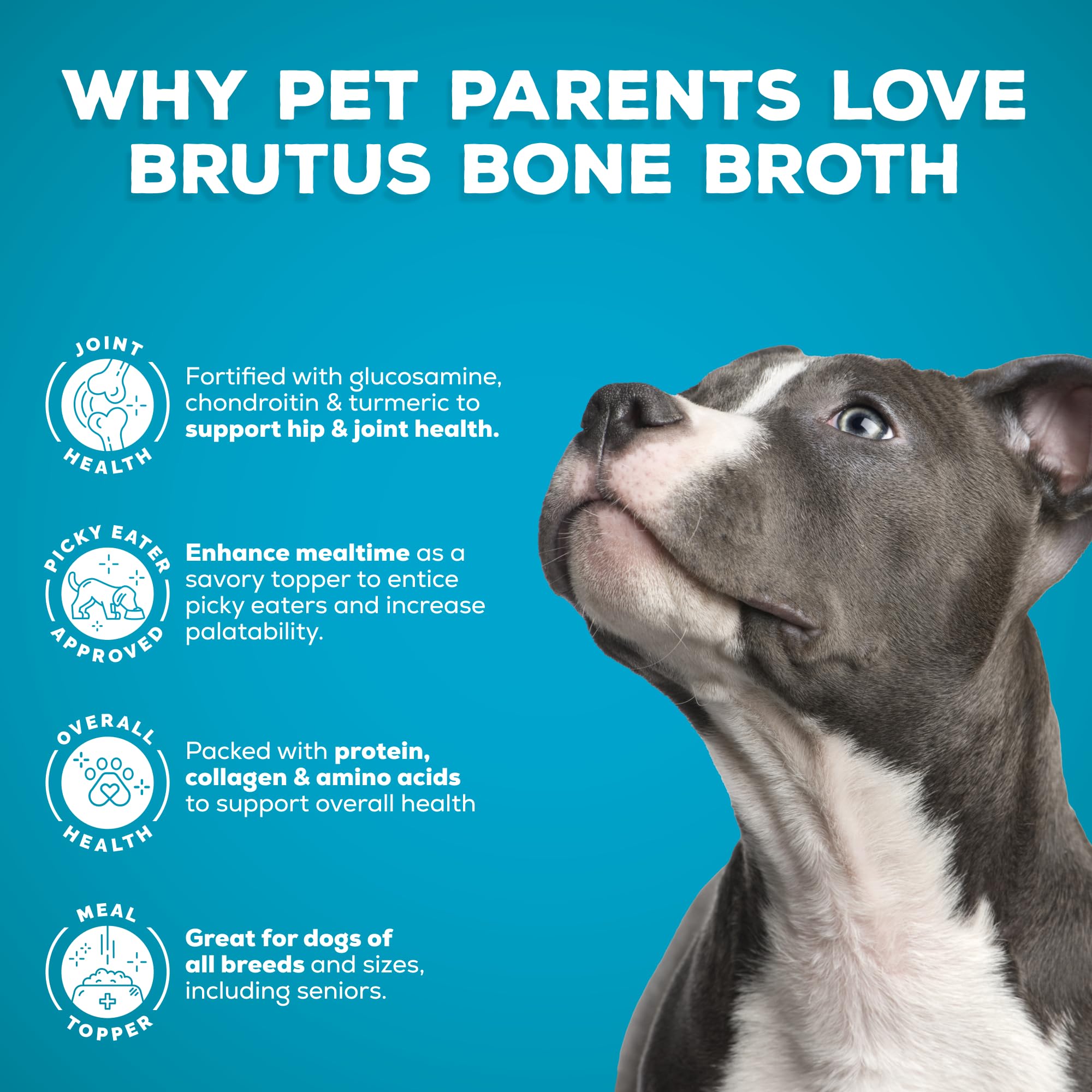 Brutus Bone Broth Liquid serving dish showcases a tasty meal topper for dogs.