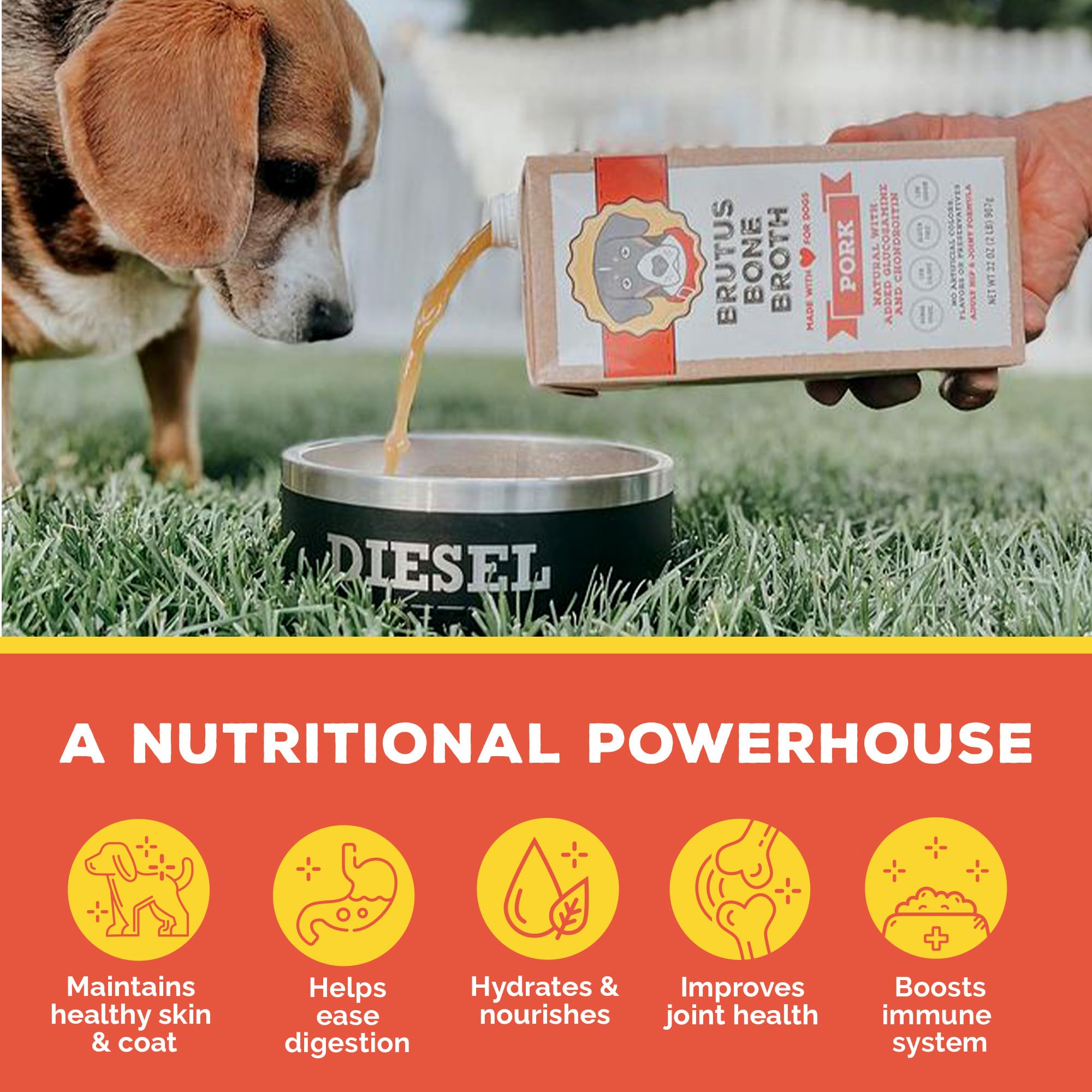 Brutus Bone Broth made with human-grade ingredients for quality-conscious owners.