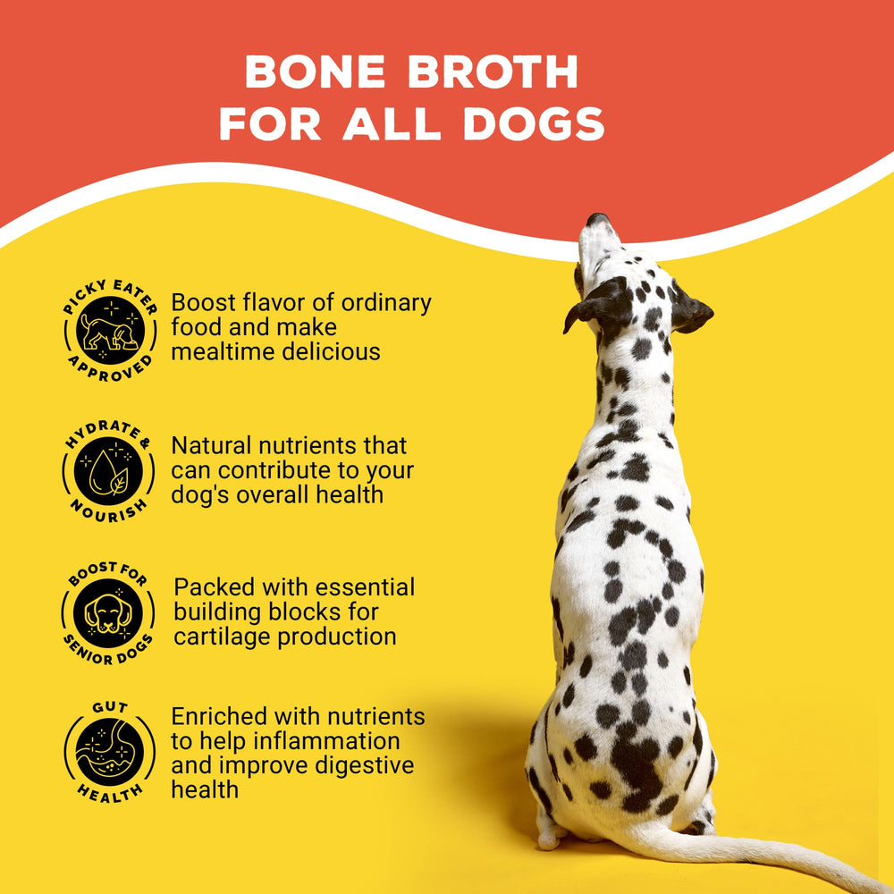 Brutus Bone Broth being stirred into water creates a quick broth for travel.