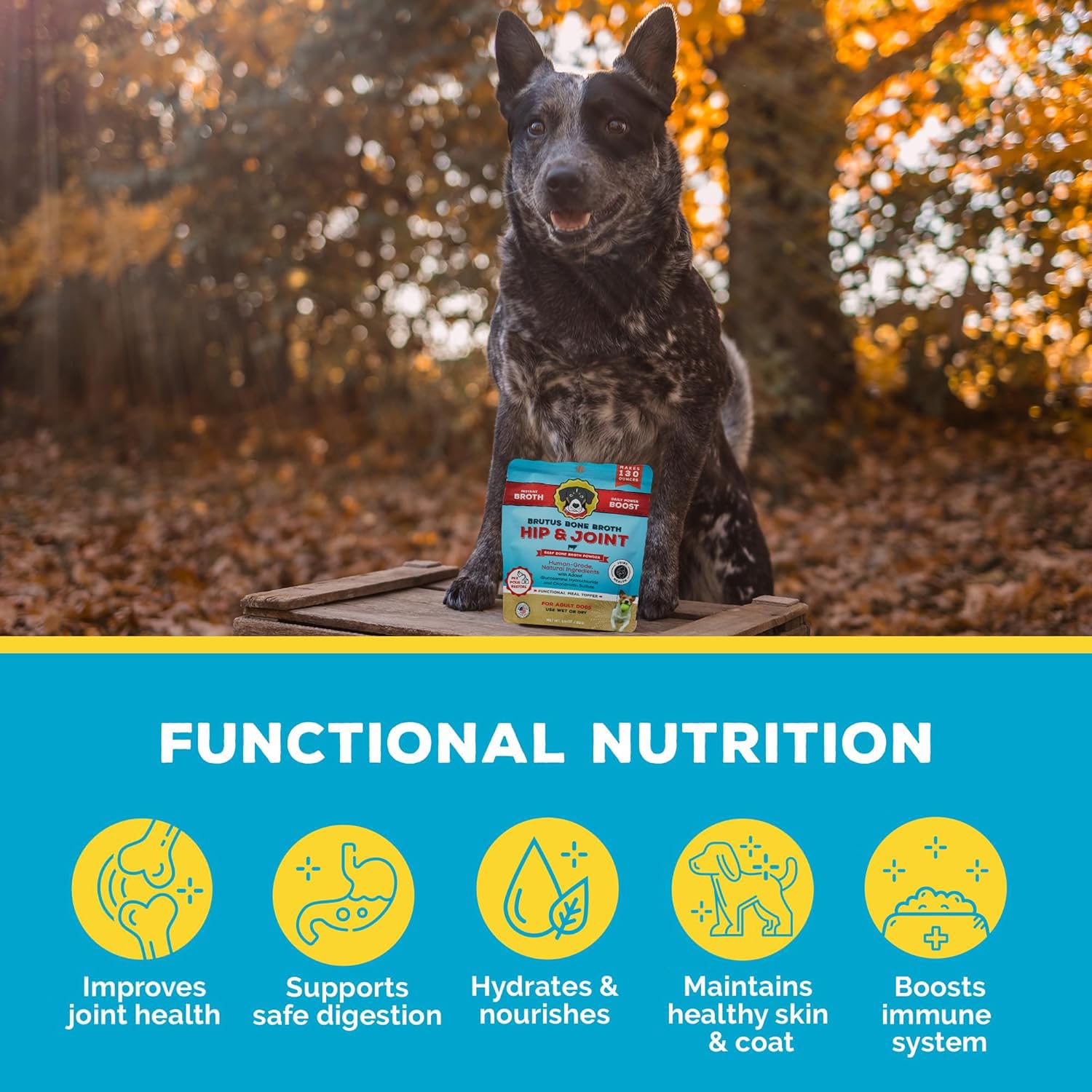Brutus Bone Broth Topper served over dog meals enhances palatability.