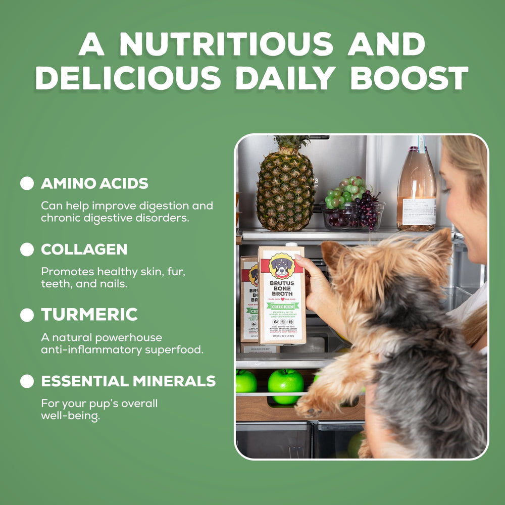 Brutus Chicken Broth bottle emphasizes gluten-free, all-natural ingredients for dogs.