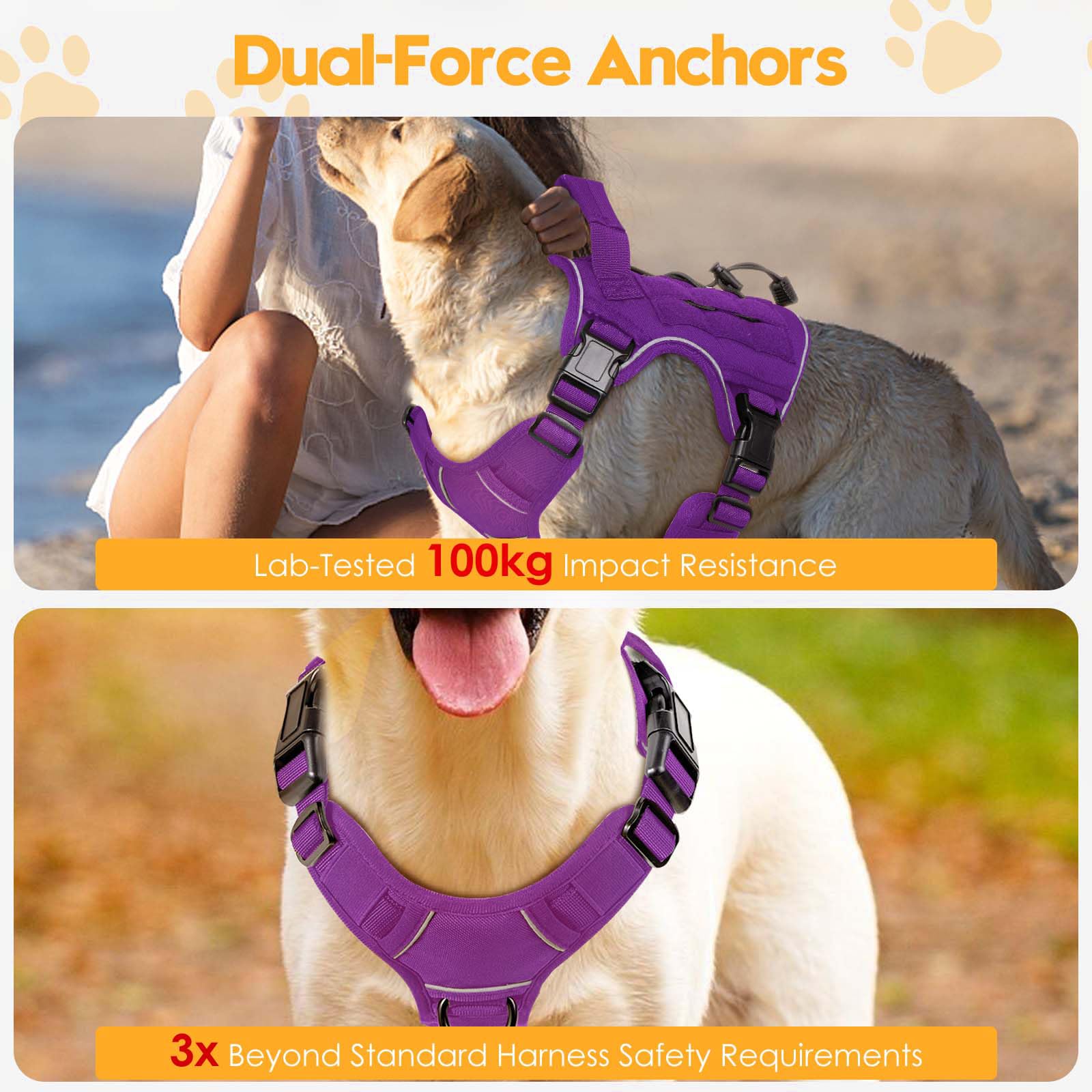 Bruvoalon air mesh padding keeping dog cool during activity