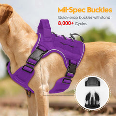 Bruvoalon MOLLE system on harness for gear carrying