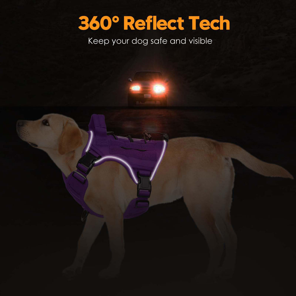 Bruvoalon reflective trim improves night visibility
