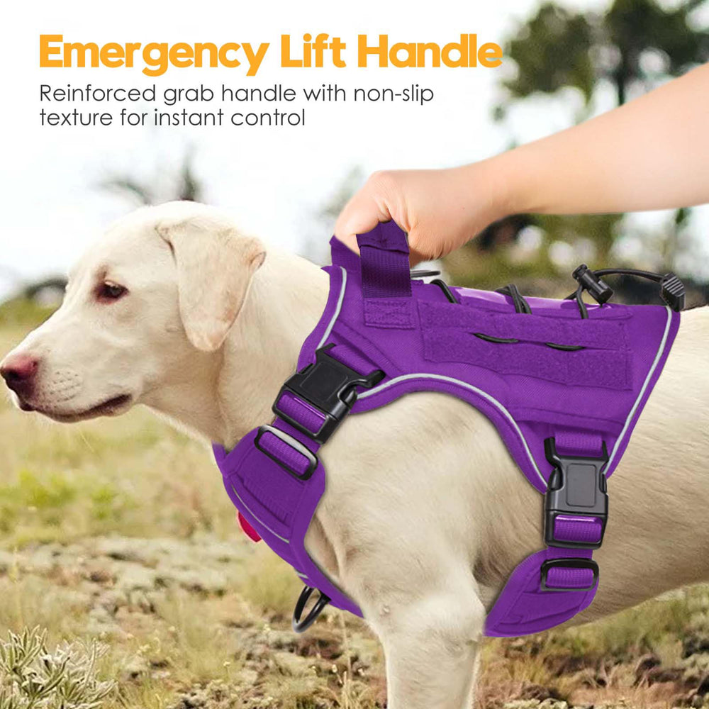 Bruvoalon reinforced stitching demonstrates rugged durability