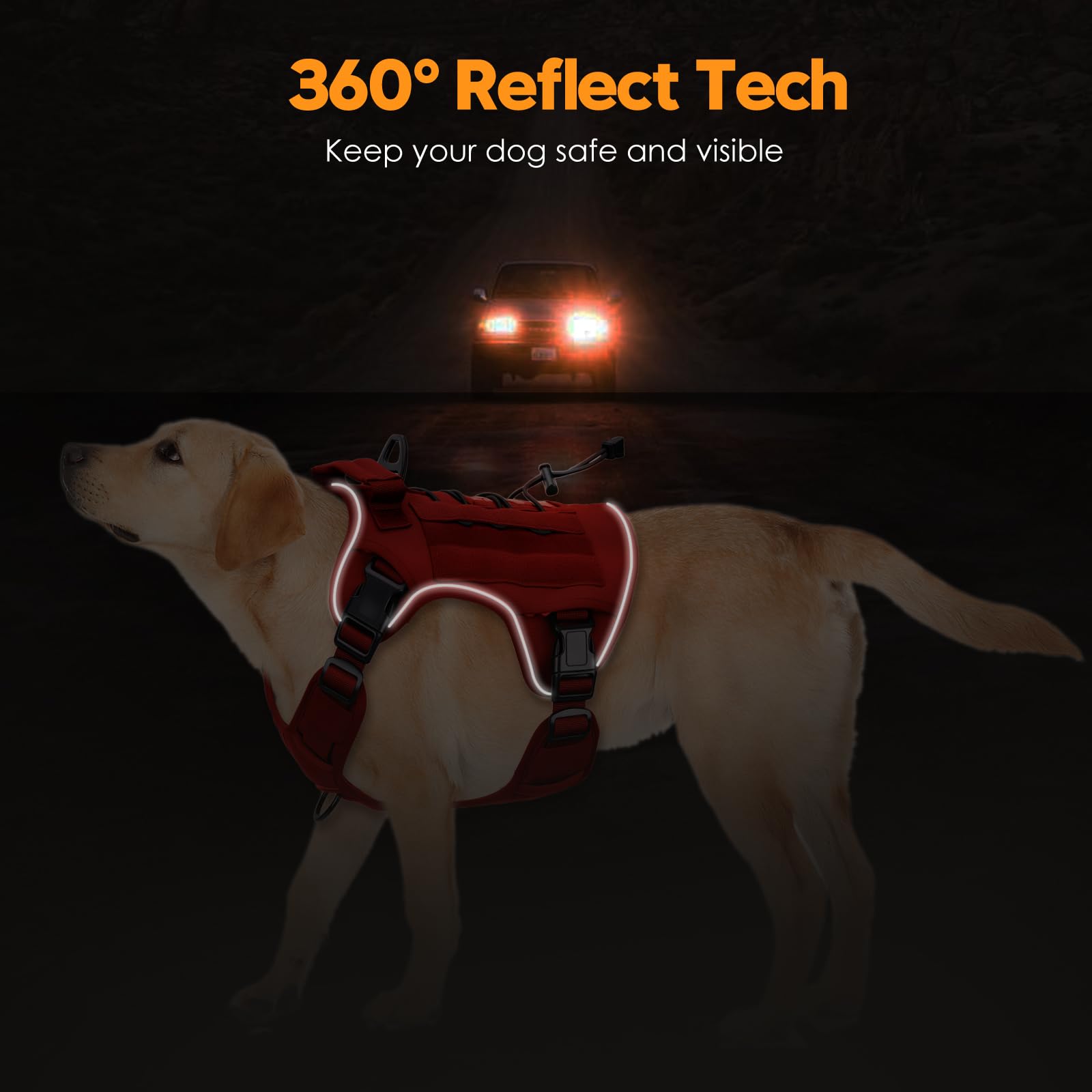 Bruvoalon air mesh padding keeps your dog cool and comfy.