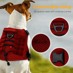 Bruvoalon harness back leash clip supports casual walks with extra restraint.