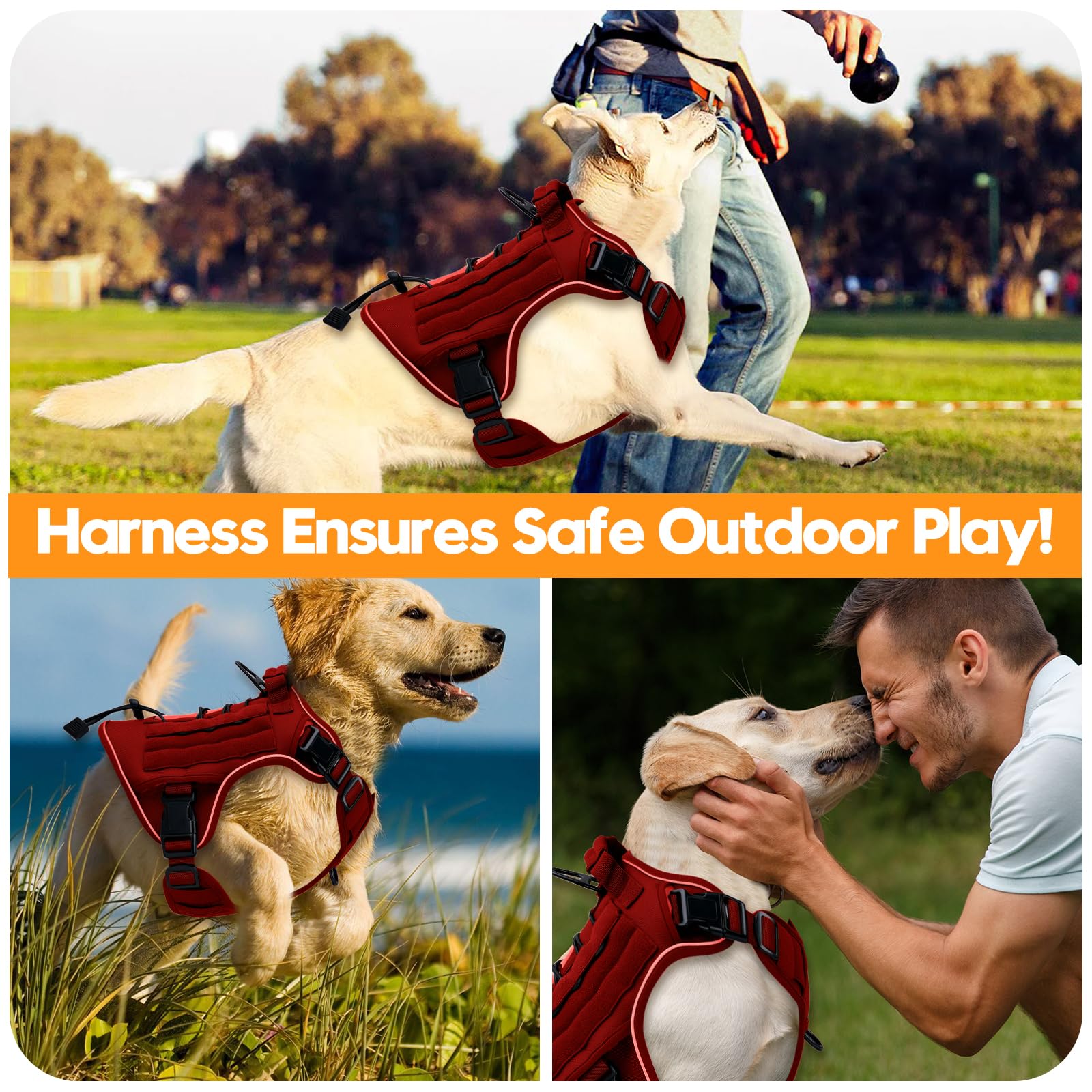 Bruvoalon harness with four-way adjustability grows with your dog.