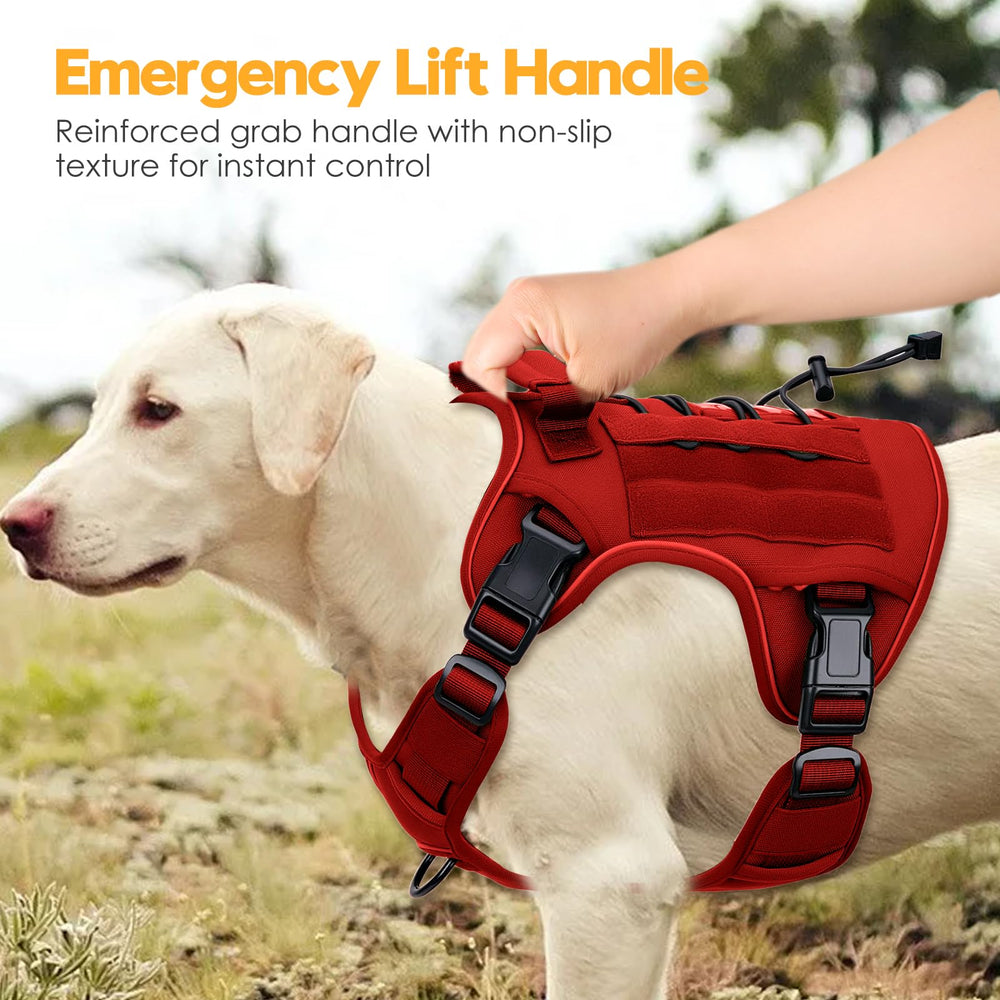 Bruvoalon heavy-duty harness in use, showing sturdy grip and secure fit.