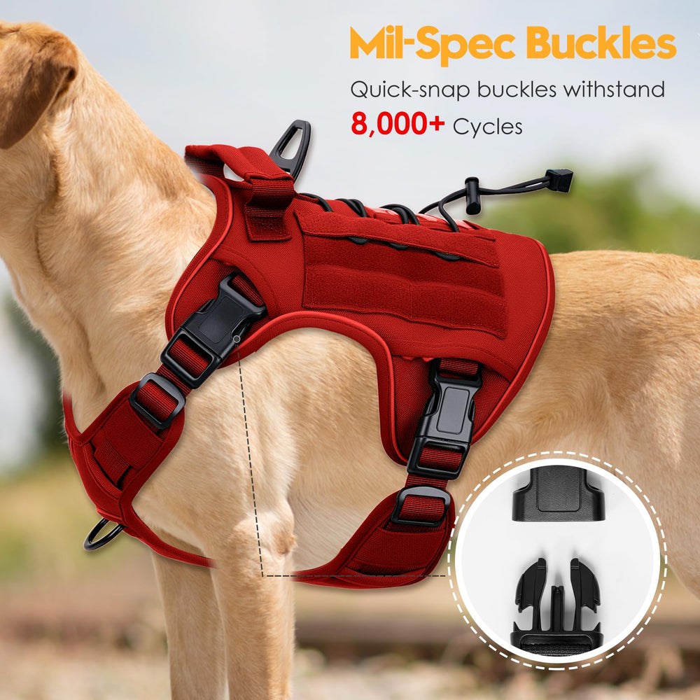 Bruvoalon heavy-duty harness featuring MOLLE system for gear carrying.
