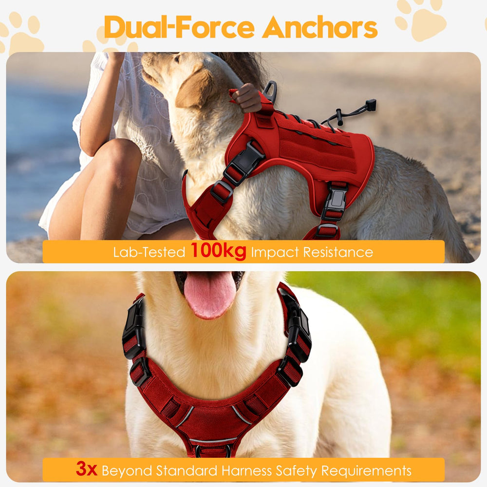 Bruvoalon harness reflective trim boosts visibility during night walks.