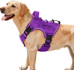Bruvoalon heavy-duty harness front clip for training control