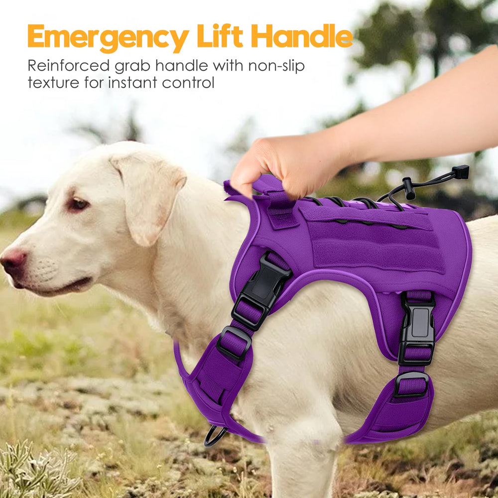 Bruvoalon adjustable straps image shows four-way fit.