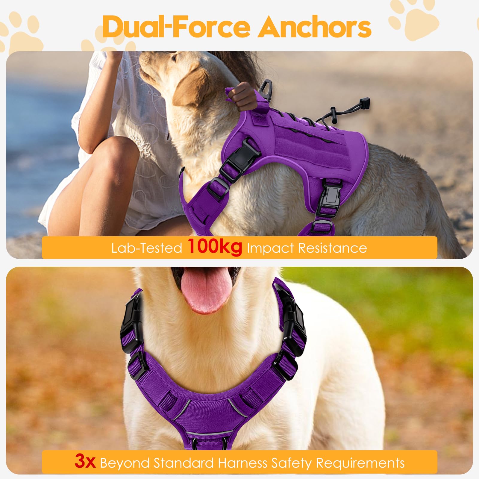 Bruvoalon back-clip view for casual walks and quick leash transitions.
