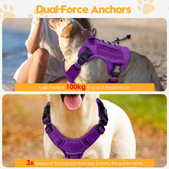 Bruvoalon back-clip view for casual walks and quick leash transitions.