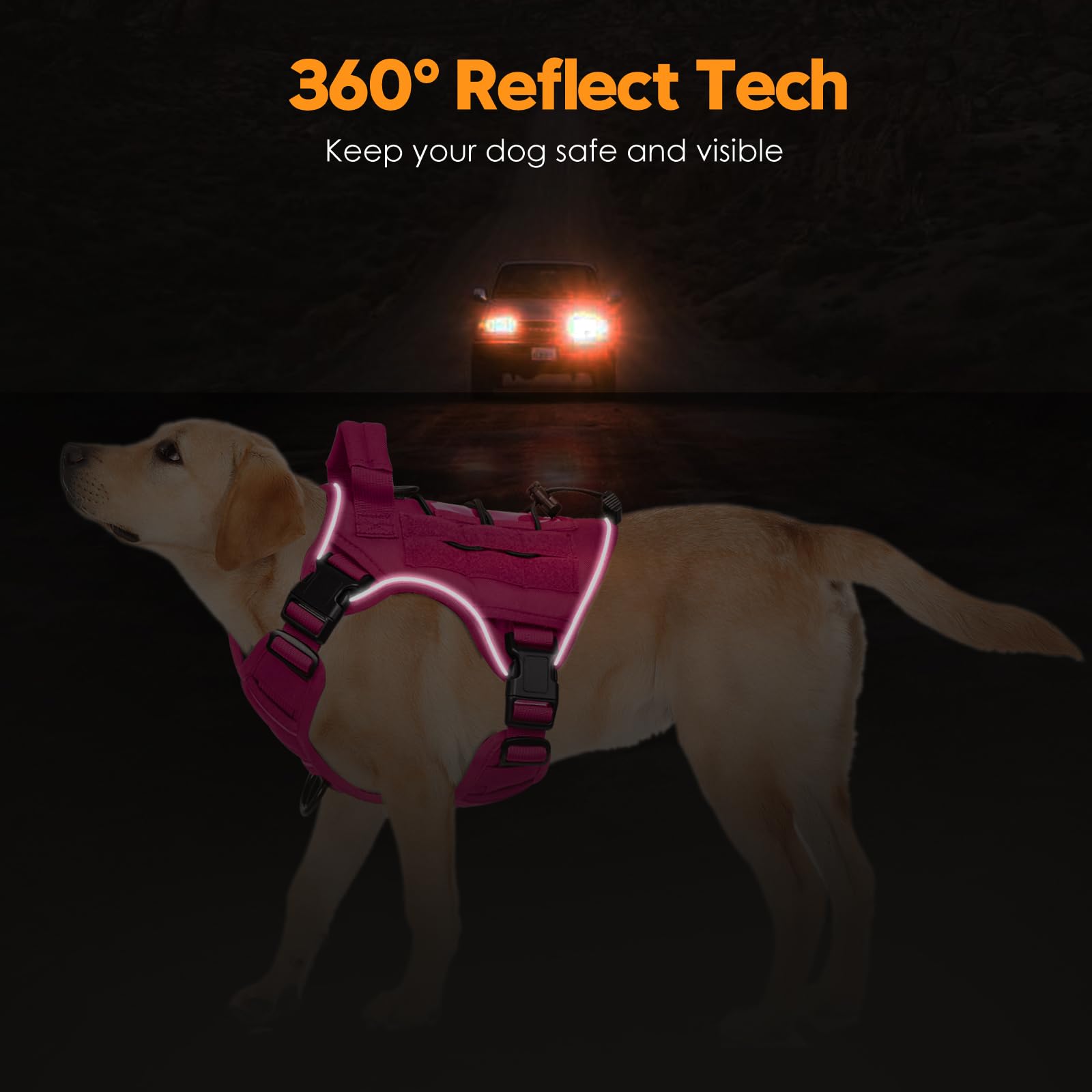 Bruvoalon breathable padding keeps dogs cool during long workouts.
