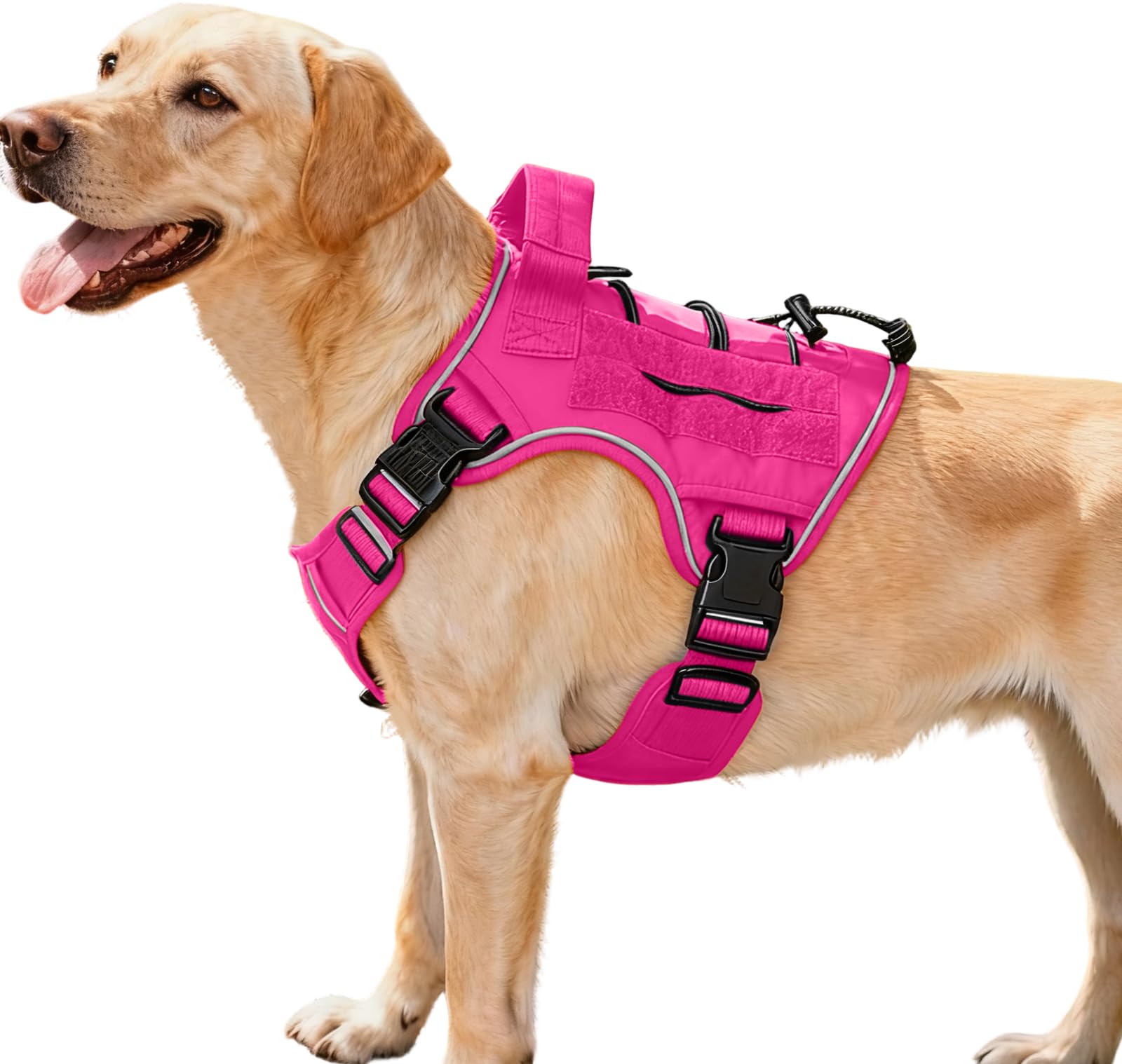 Bruvoalon heavy-duty tactical harness front clip for training control during walks.