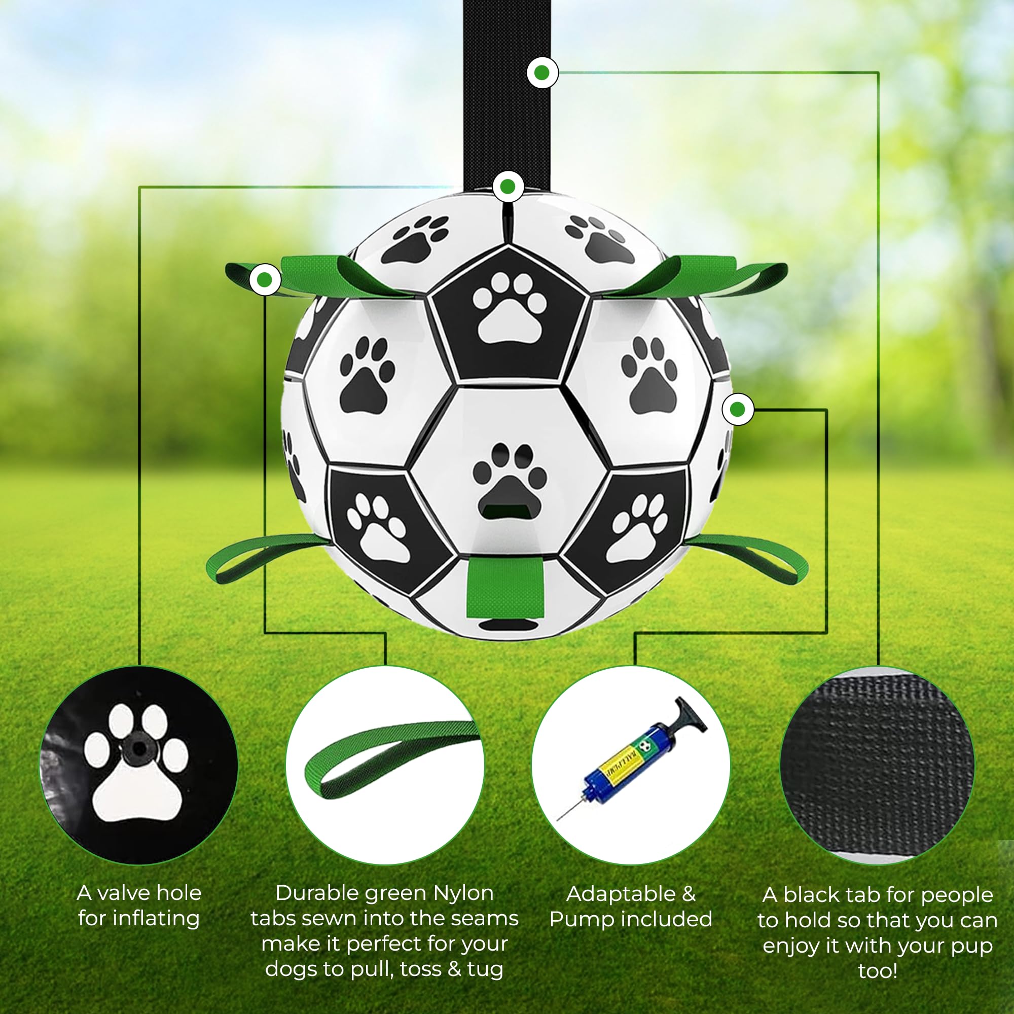 Brylex 8-inch ball suits small to medium dogs for training