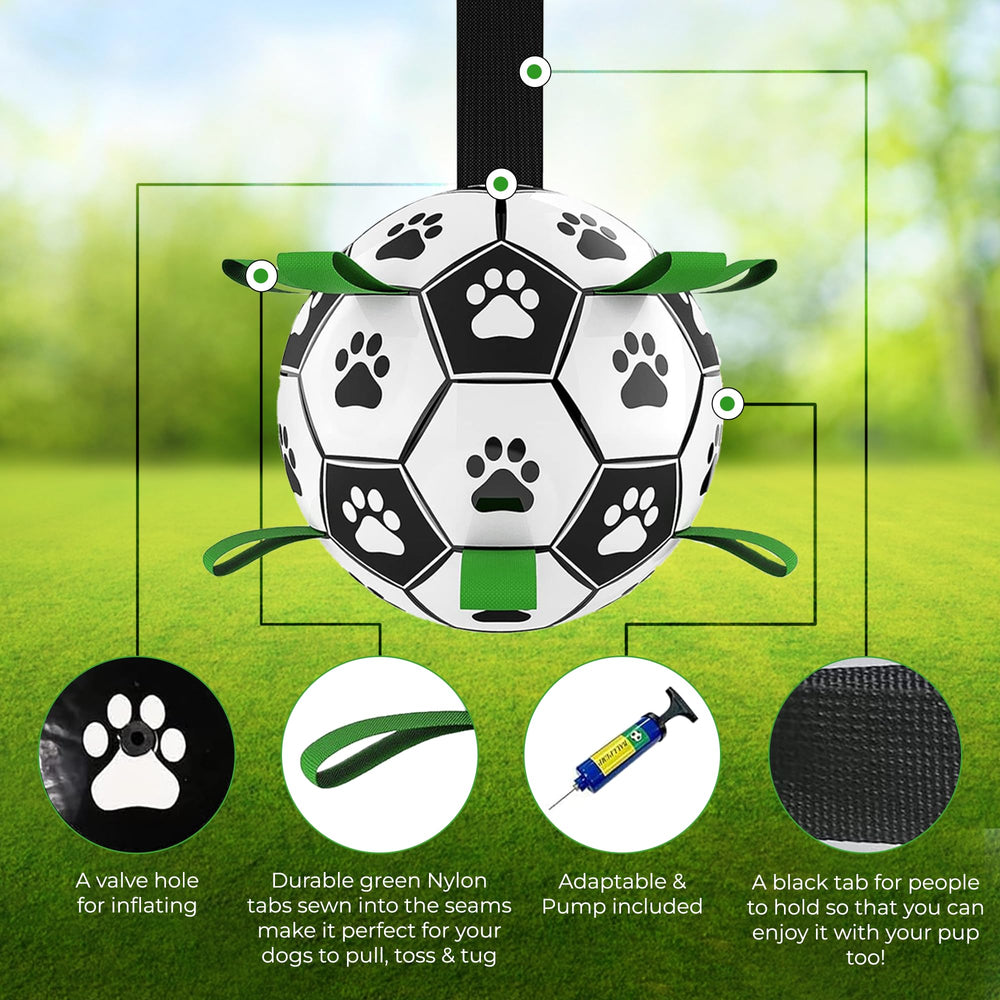 Brylex 8-inch ball suits small to medium dogs for training