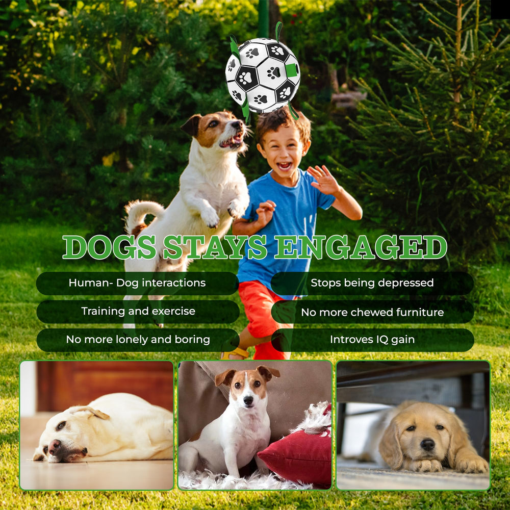 Brylex ball straps protect dog teeth during chase