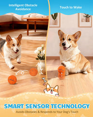 Bryxkla ball with chew-resistant shell built for strong chewers.