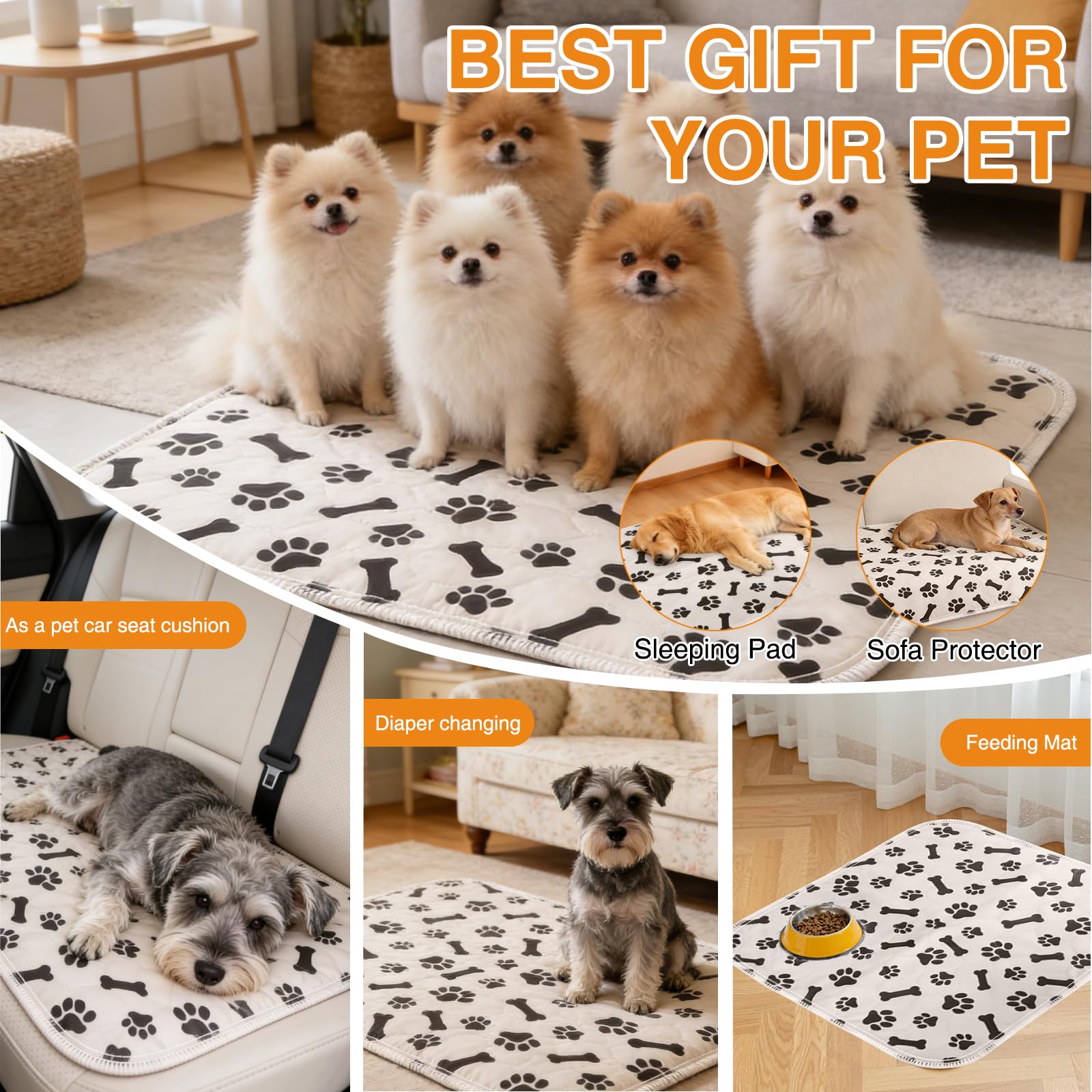 BScintilla multi-purpose pad suitable for training, crates, and travel.
