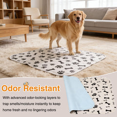 BScintilla washable pad is machine washable for easy cleaning after playtime.