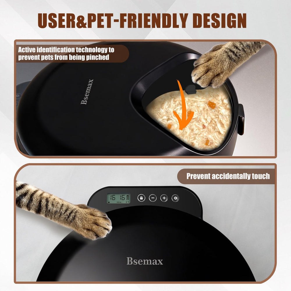Bsemax automatic feeder four-compartment design enables portioned meals