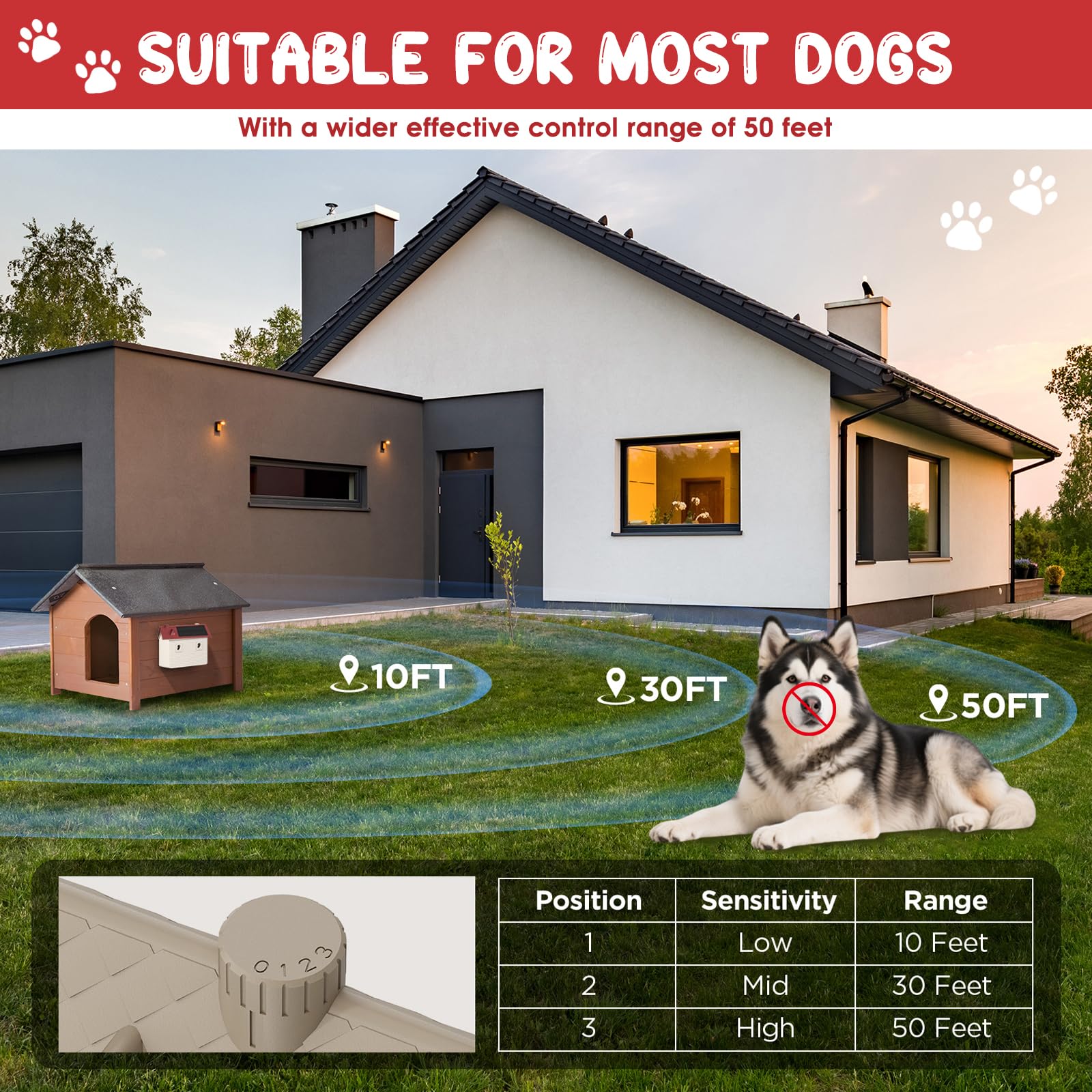 Bsemax indoor/outdoor placement near kennels for flexible use.