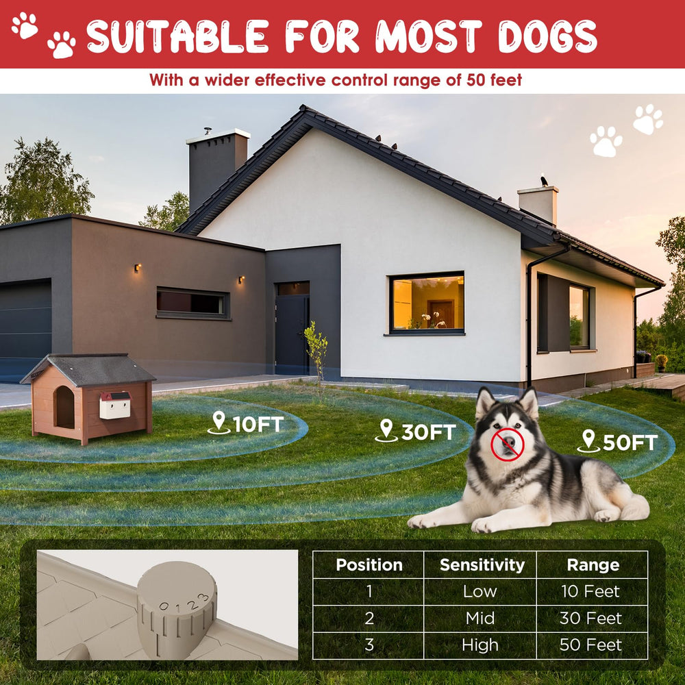 Bsemax indoor/outdoor placement near kennels for flexible use.