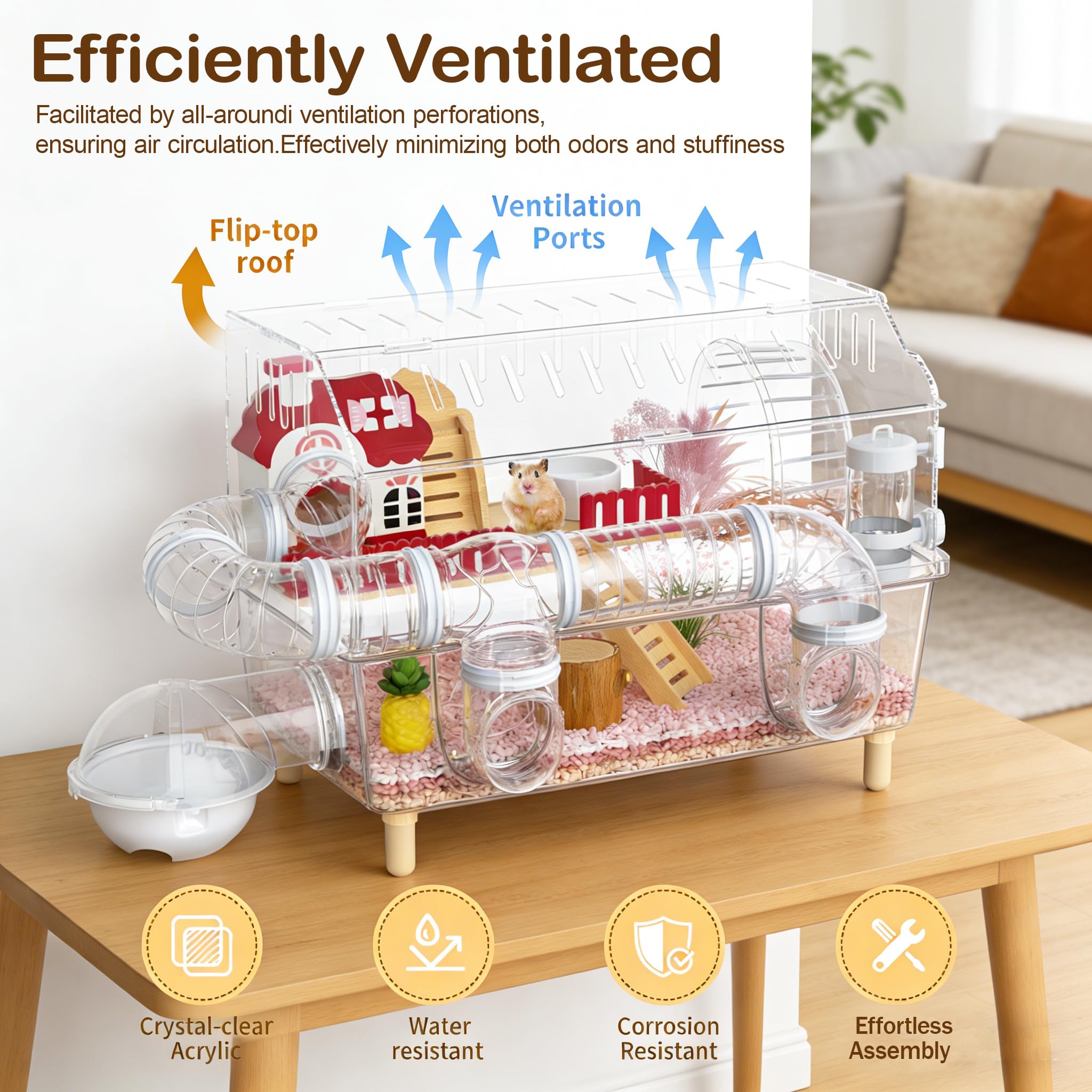 BShasrlim transparent enclosure showcases dwarf hamster activity safely.