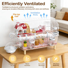 BShasrlim transparent enclosure showcases dwarf hamster activity safely.
