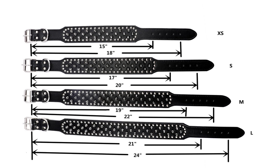 BTDCFY Hoot spiked collar back-strap detail highlights anti-bite design