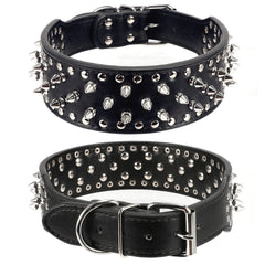 BTDCFY Hoot spiked collar close-up reveals durable PU leather and rivets