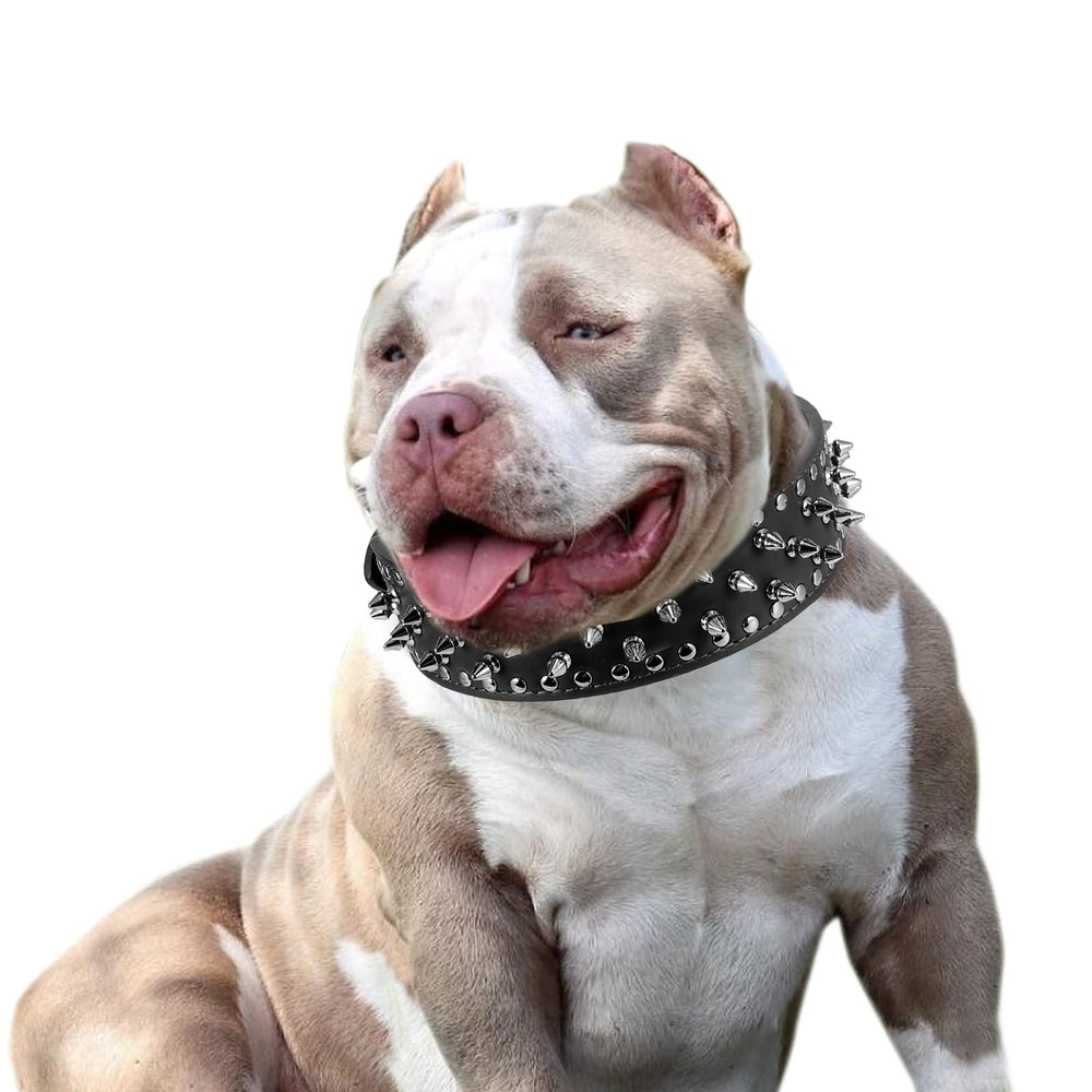 BTDCFY Hoot spiked collar rivet-dense construction promises durability