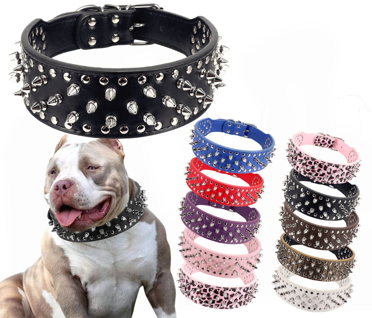 BTDCFY Hoot spiked collar side view shows 2-inch width for neck protection during play
