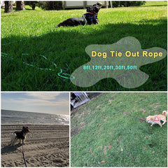 BTINESFUL 30ft green dog tie-out rope versatile outdoor tether