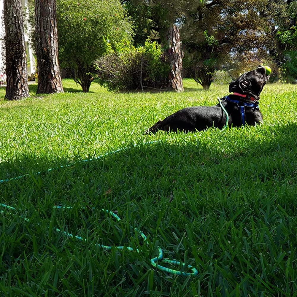 BTINESFUL 12ft green dog tether for patios with quick access.
